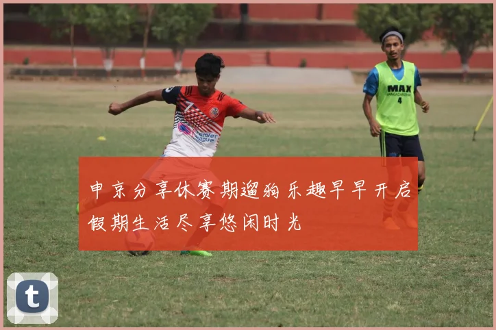 申京分享休赛期遛狗乐趣早早开启假期生活尽享悠闲时光